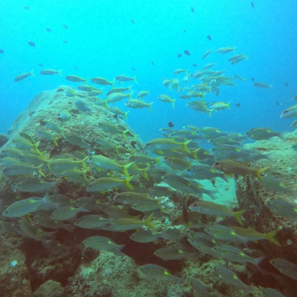 DCIM100GOPROGOPR0285.JPG DCIM100GOPROGOPR0285.JPG