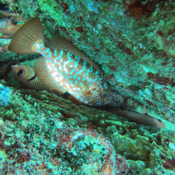 DCIM100GOPROGOPR0291.JPG DCIM100GOPROGOPR0291.JPG