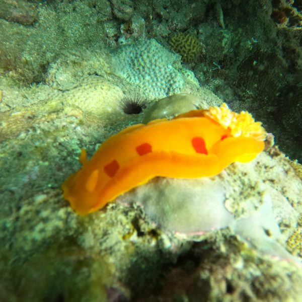 DCIM100GOPROGOPR0297.JPG DCIM100GOPROGOPR0297.JPG