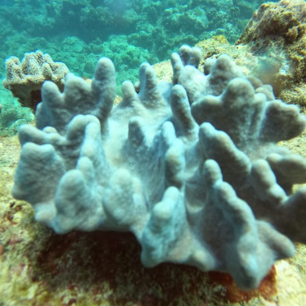DCIM100GOPROGOPR0307.JPG DCIM100GOPROGOPR0307.JPG