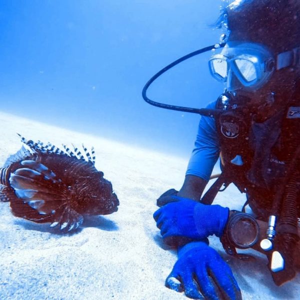 Lion fish reef site Lion fish reef site