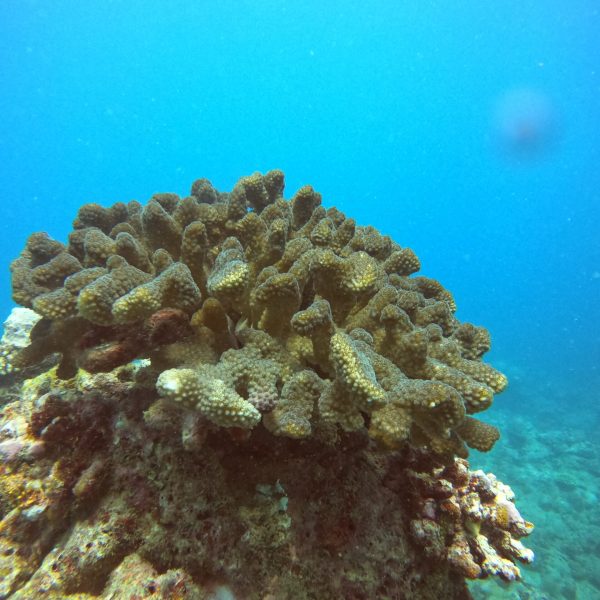 DCIM100GOPROGOPR0338.JPG DCIM100GOPROGOPR0338.JPG