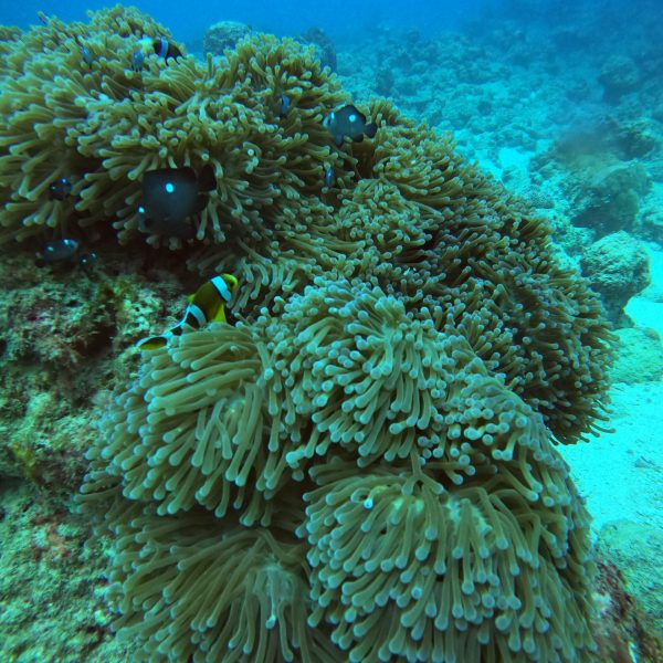 DCIM100GOPROGOPR0320.JPG DCIM100GOPROGOPR0320.JPG