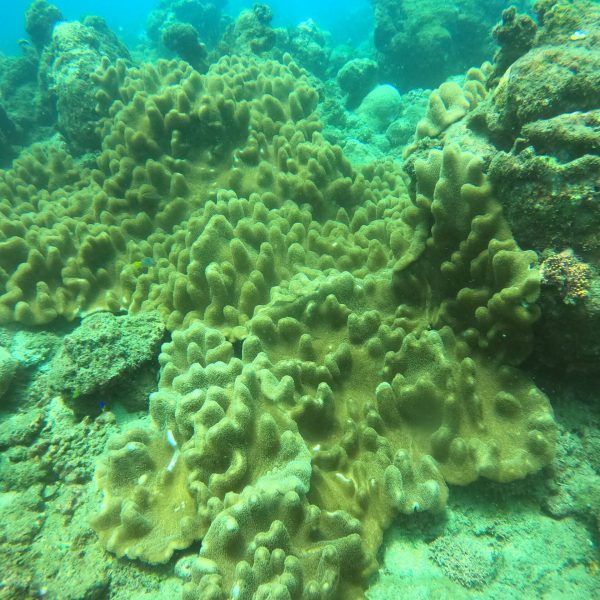 DCIM100GOPROGOPR1072.JPG DCIM100GOPROGOPR1072.JPG