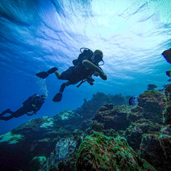 diving diving