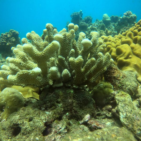 DCIM100GOPROGOPR1067.JPG DCIM100GOPROGOPR1067.JPG