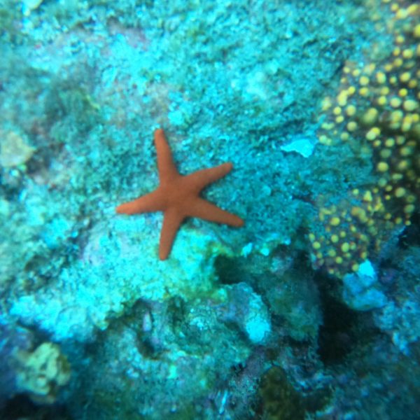 DCIM100GOPROGOPR1069.JPG DCIM100GOPROGOPR1069.JPG