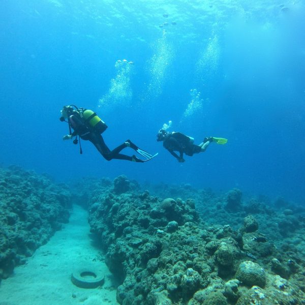 tamarin-ocean-pro-diving-divers-2 tamarin-ocean-pro-diving-divers-2